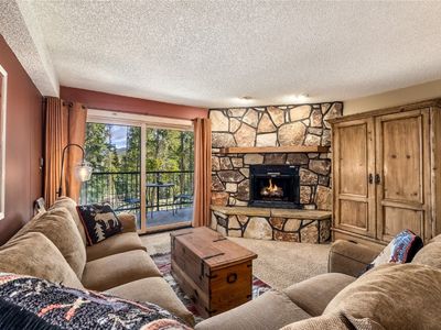 530 S French St APT 110, Breckenridge, CO, 80424