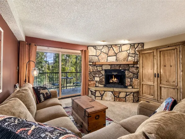 530 S French St APT 110, Breckenridge, CO 80424
