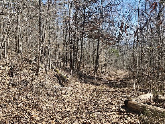 3rd image of 0 Lick Creek Rd