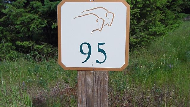 1st image of 122 Walking Coyote Dr