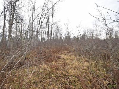 0 S Cummings Rd, Danbury, WI, 54830