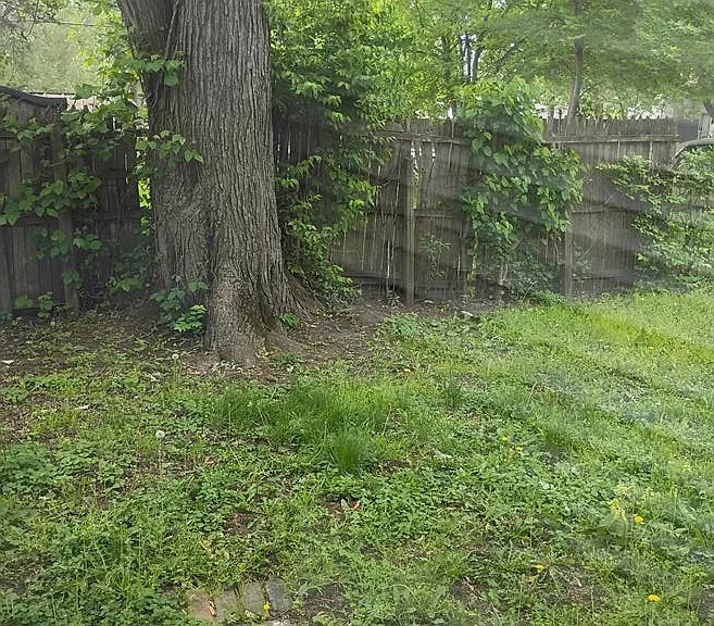 653 Birch Ave — Photo 6