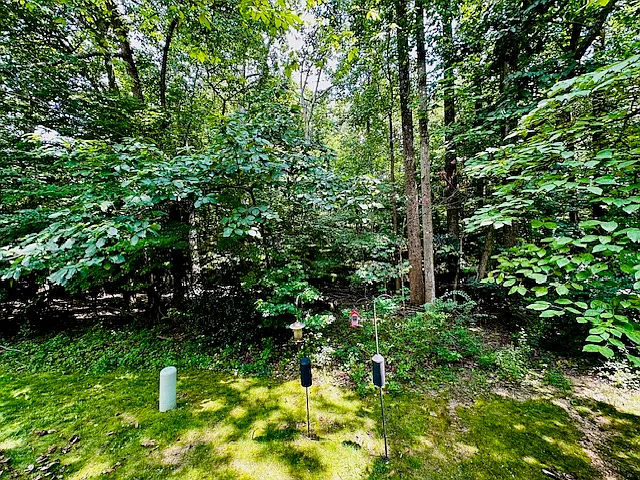 Enjoy peaceful forest views from your private deck, as well as from two upstairs bedrooms, bringing nature's beauty indoors and creating a tranquil atmosphere throughout the home.