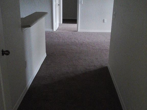 2nd image of 1013 Hemingway Cir