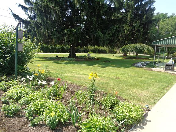 Back of yard.