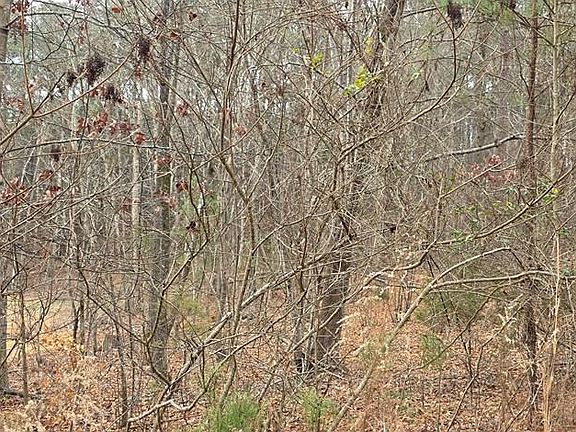 3rd image of 90 Roanoke Dr