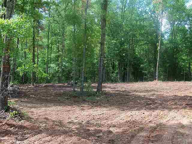 2nd image of 0 Brown Ln