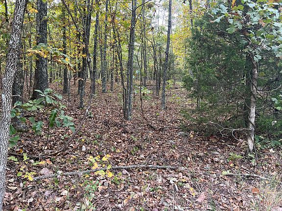 4th image of Lot 3 County Road 113