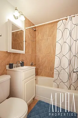 Rented by Alpha Properties NYC I LLC | media 16