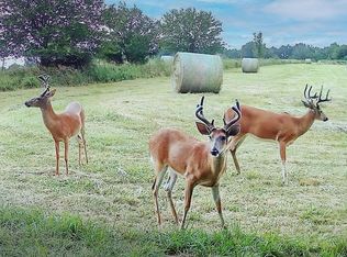 SW 101st Rd, Chilhowee, MO 64733