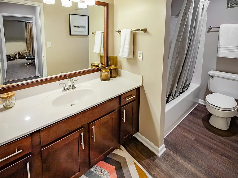 Updated Bathroom
