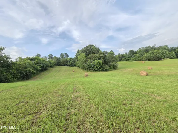 287 Mockingbird Pl, Jonesborough, TN 37659