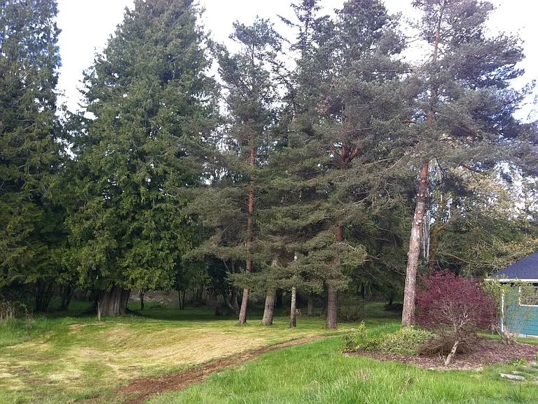 2851 Rose Valley Loop — Photo 14