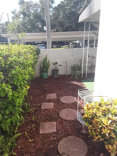 952 Virginia St #101 Photo 1