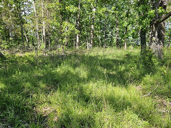 Understory prescribed burning can easily turn the forested areas into a savanna for wildlife.