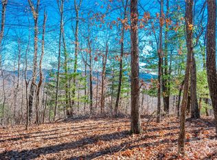 99999 Mount Olivet Rd, Zirconia, NC 28790