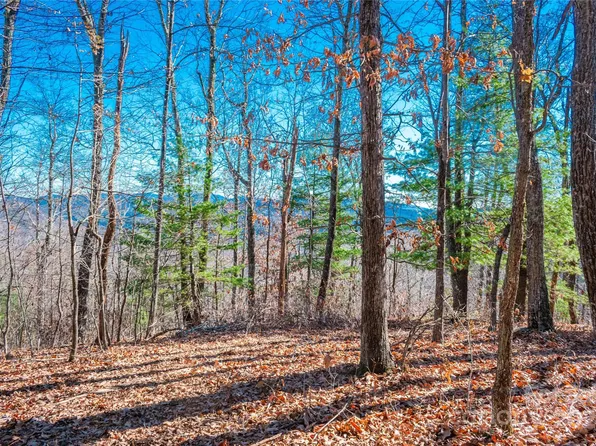 99999 Mount Olivet Rd, Zirconia, NC 28790