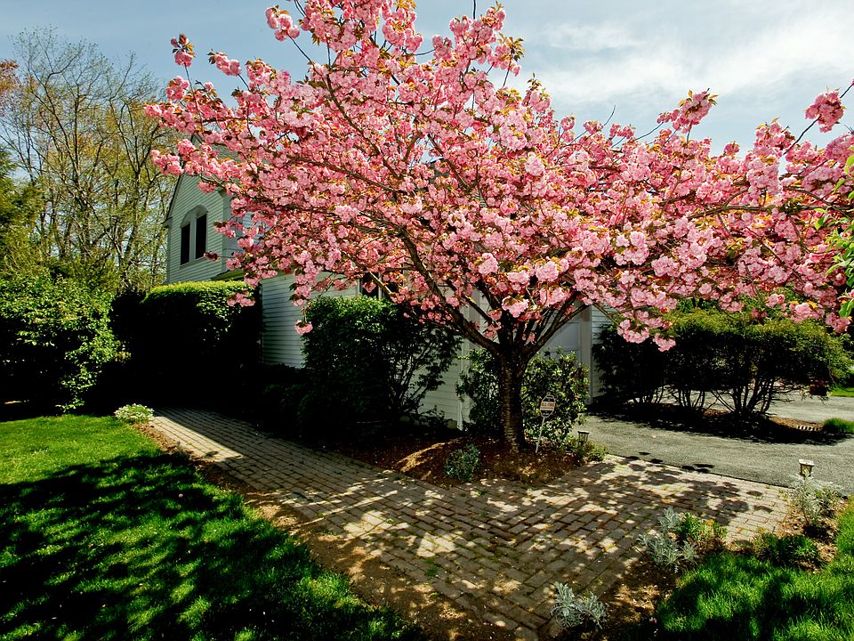 1st image of 32 Brook Hills Cir #32