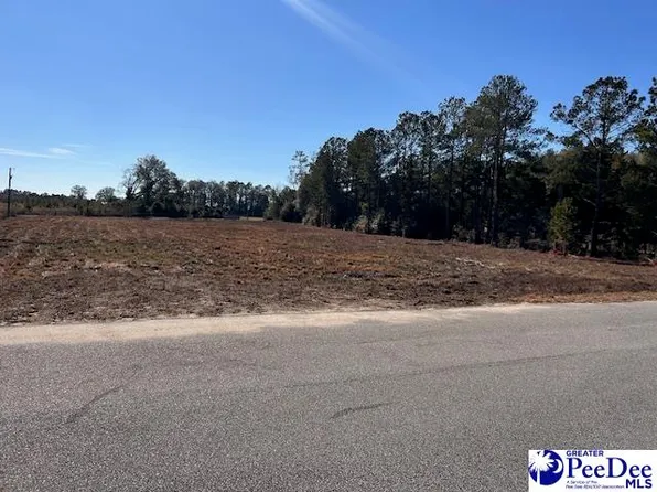 5 Harmony Hall Rd, Darlington, SC 29532