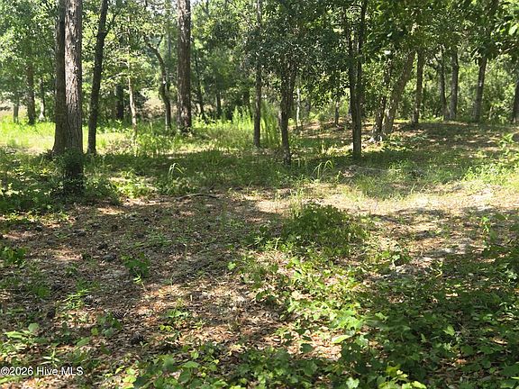 4th image of 3183 Mullet Creek Place SE