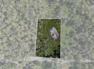 12207 W Gulf Breeze Ct, Crystal River, FL 34429