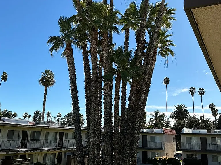 Casa Granada — Photo 31