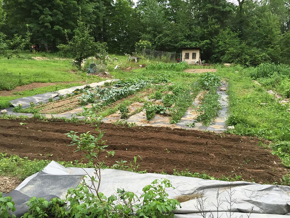2nd image of 398 Old Mill Rd