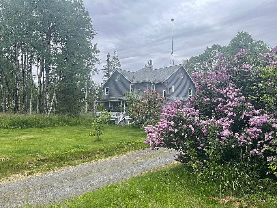Beautiful Lilac bushes- 