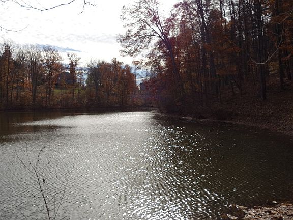 5th image of Pond Hollow Ln