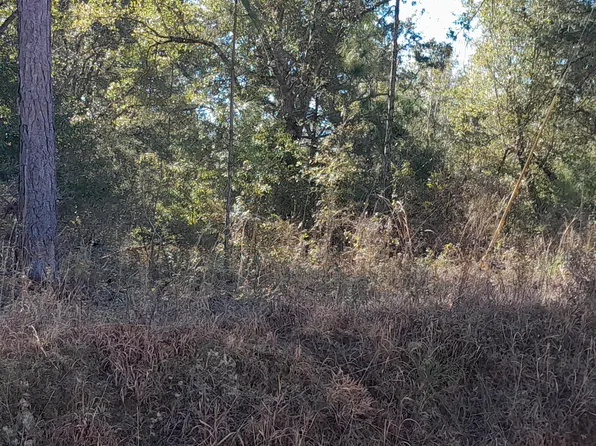 21214 NW State Road 73 #Sr, Clarksville, FL 32430