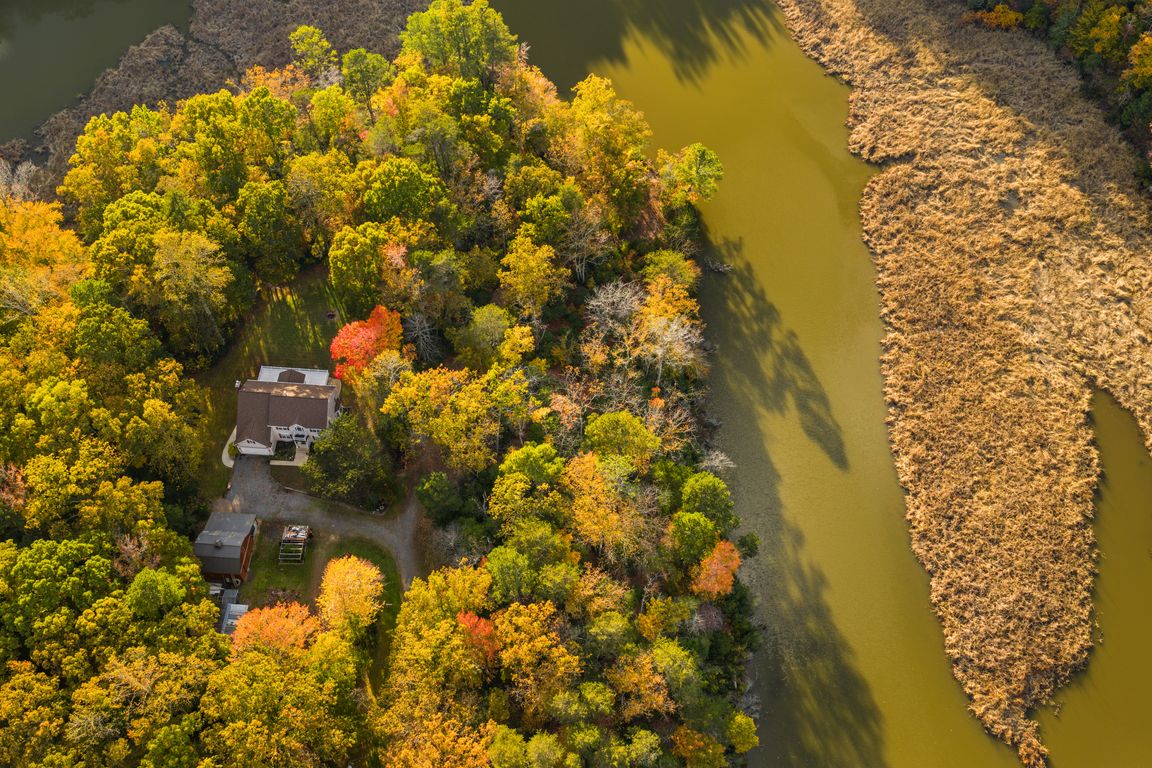 next background image