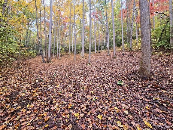 2nd image of 0 Cara Way Lot 13
