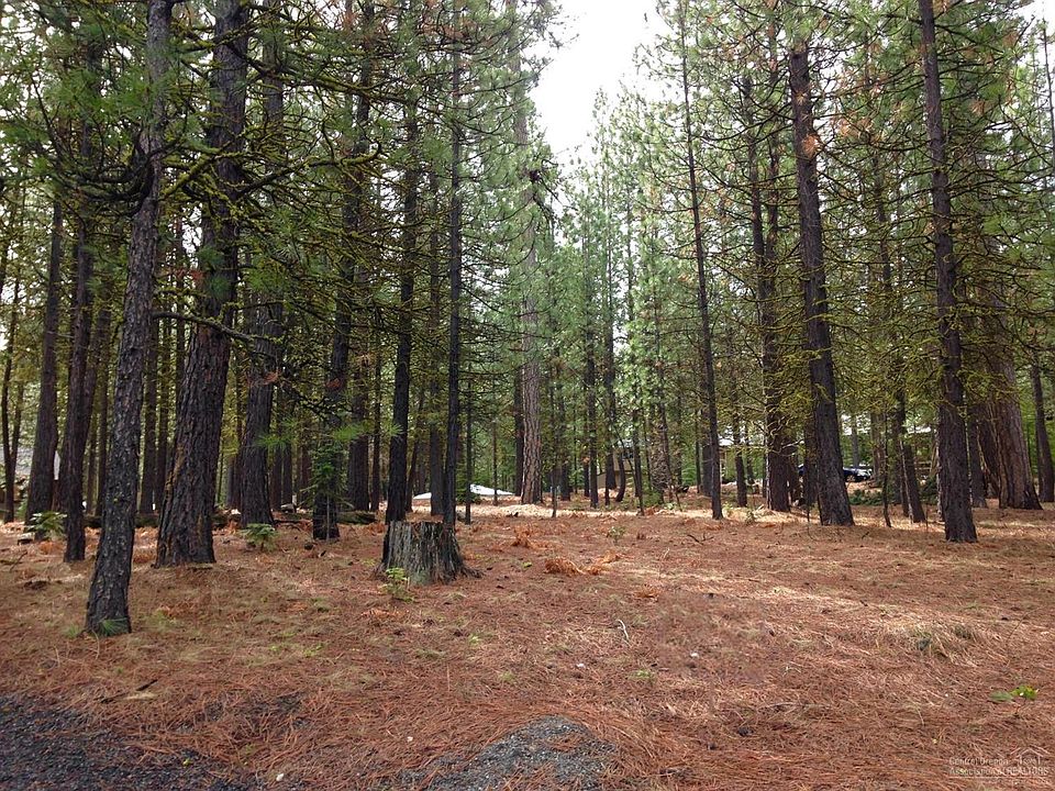 2nd image of 13369 Hawksbeard Rd