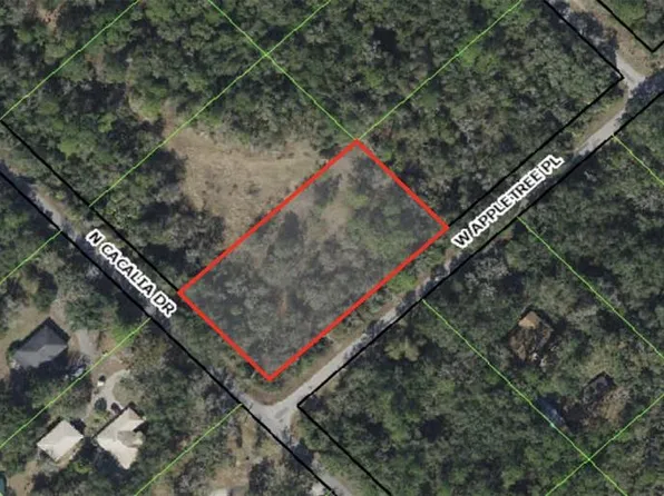 9069 N Cacalia Dr Lot 10, Crystal River, FL 34428