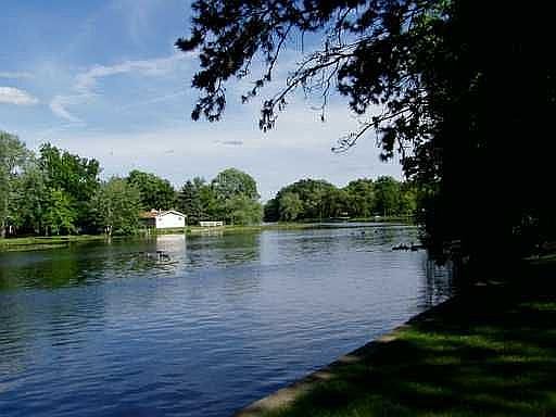 Back yard view