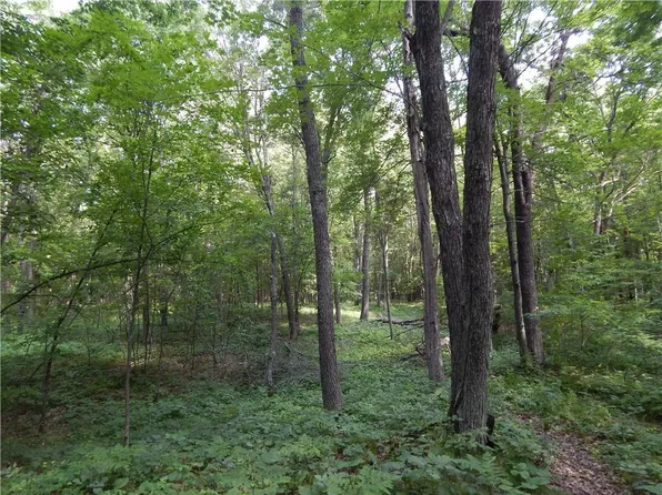 XXX Fosberg Road, Siren, WI 54872