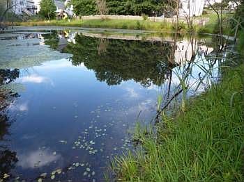 House backs to water