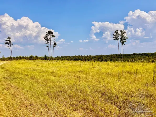 23 Morgan Ln, Molino, FL 32577