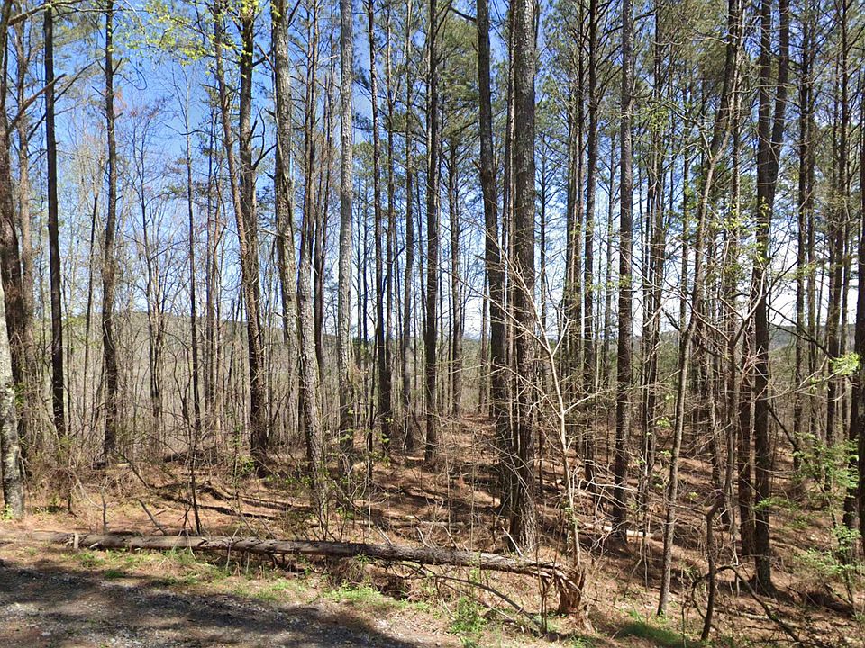 1st image of 4 W Dry Pond Rd Lot 4