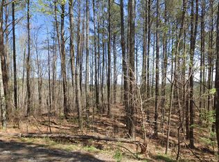 4 W Dry Pond Rd LOT 4, Ranger, GA 30734
