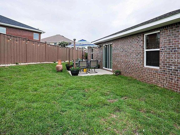 Back yard