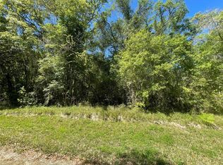 Table Rock Dr LOT 13, Webster, FL 33597