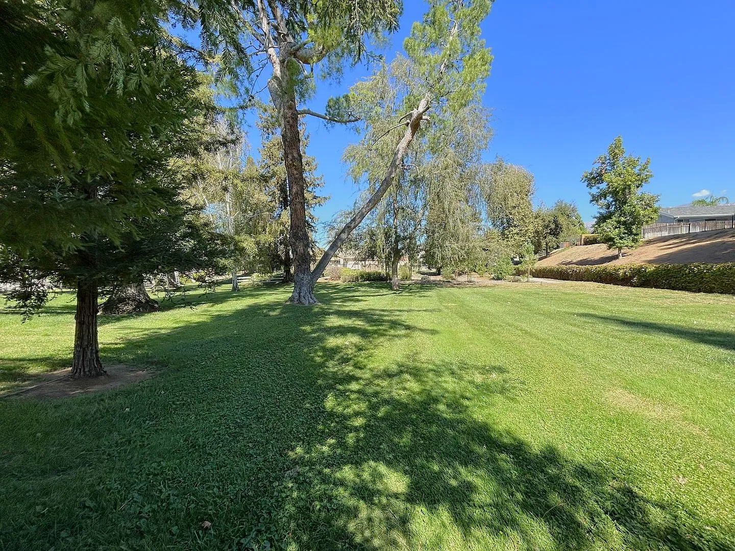 Beautiful Single-Story 2-Bedroom House in Upper Yucaipa! — Photo 4