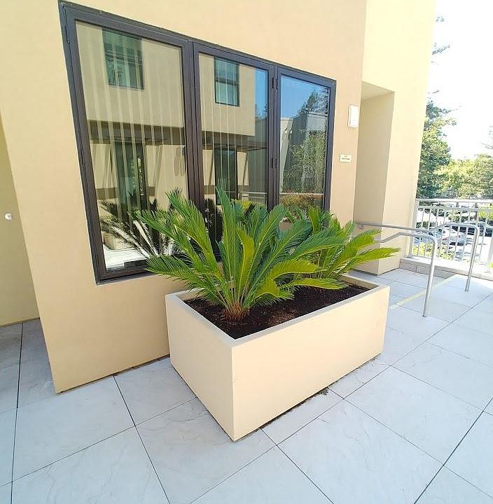1st image of 2650 Birch St #208