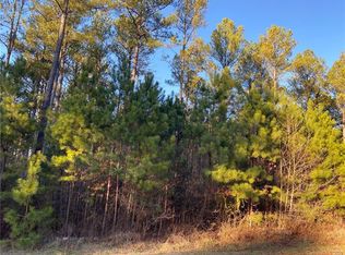 4669 Persimmon Rd, Lancaster, SC 29720