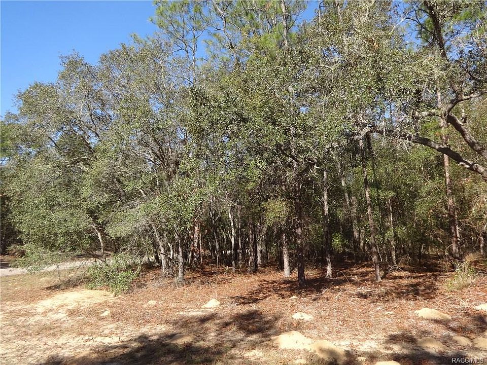 1st image of 8918 N Bengal Way