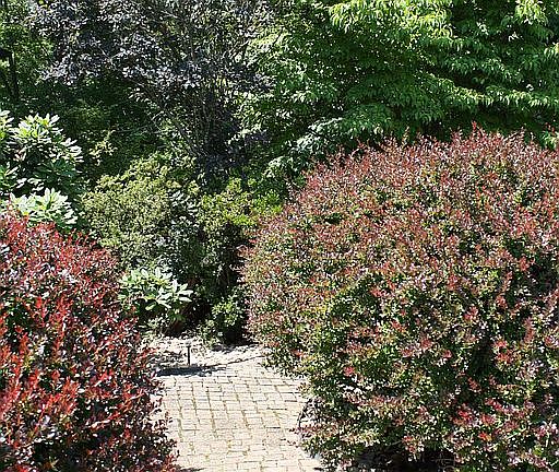 Side Cobble Stone Walk