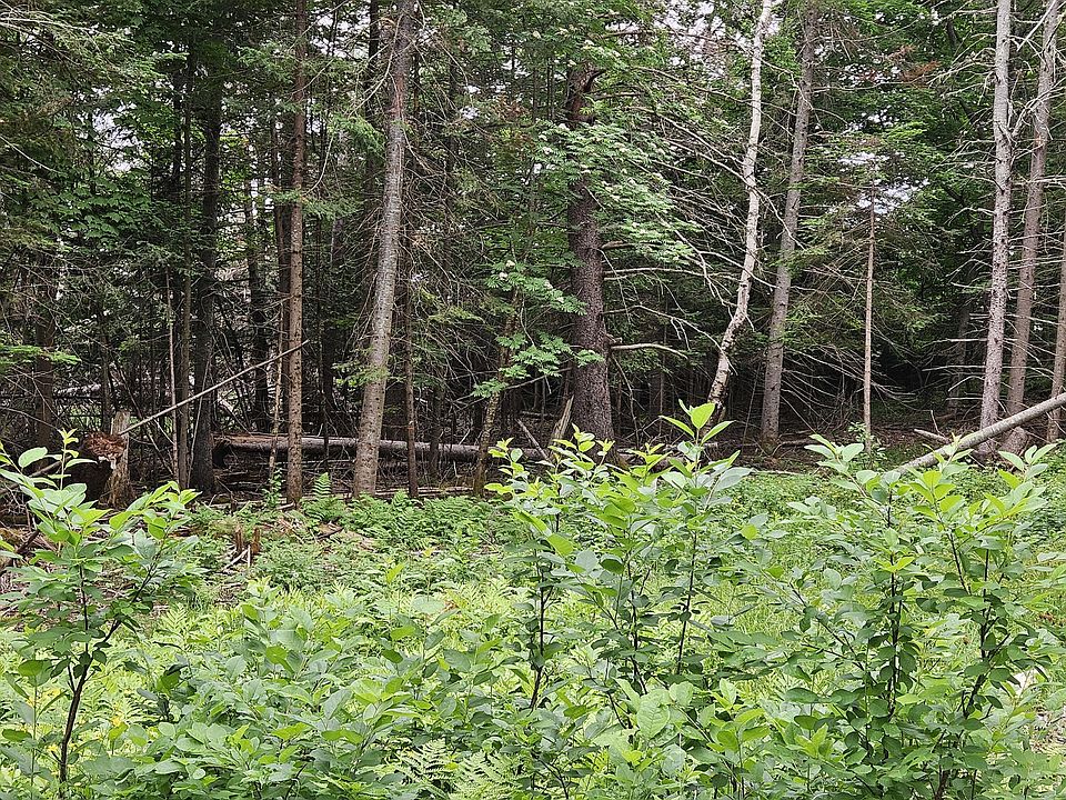 2nd image of 8-66-A-1 Race Way