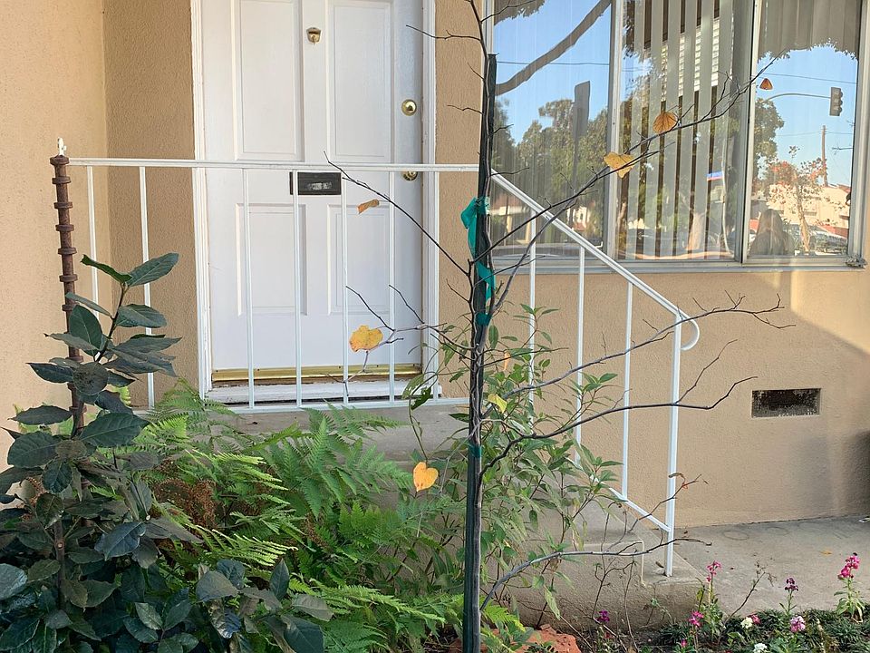 1st image of 3223 Colorado Ave