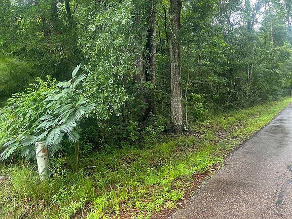 4th image of 19925 Perrin Ferry Rd
